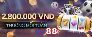 ev88