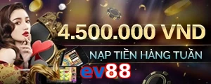 ev88