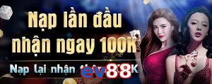 ev88