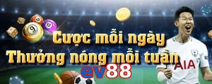 ev88
